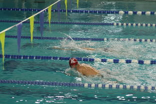 开云体育网址-全国游泳冠军赛新星频出成绩突破预期，全国游泳冠军赛2021成绩  第3张